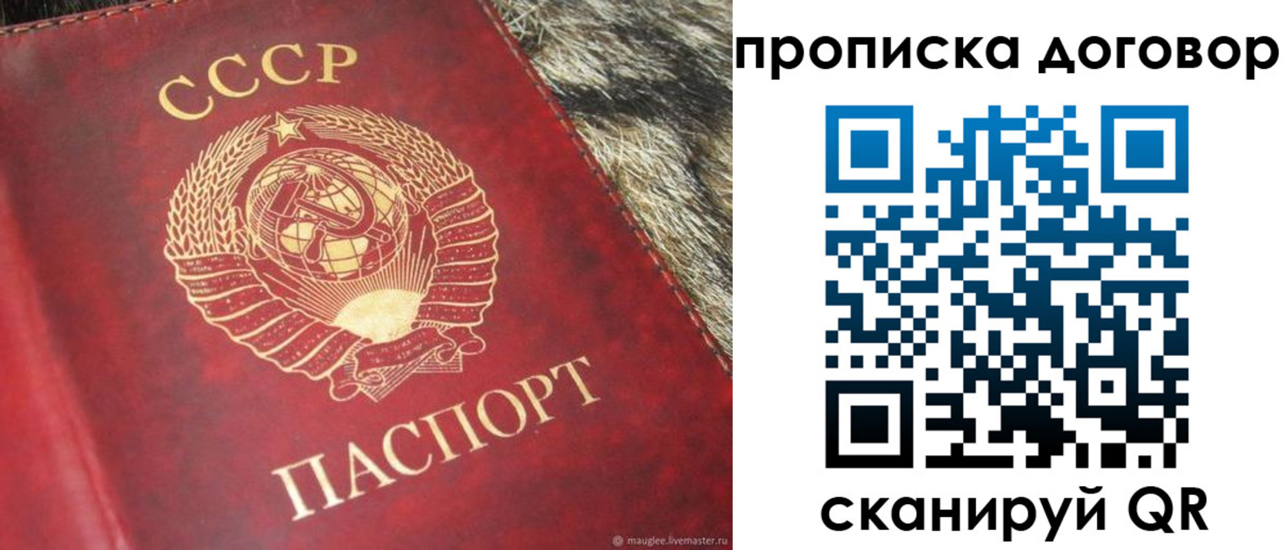 временная регистрация надежно в Ногинске